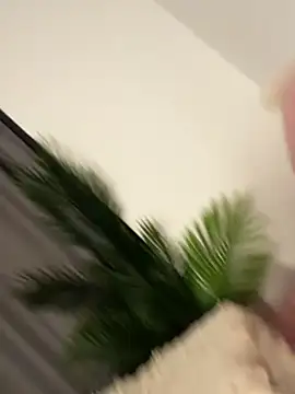 Andrestarr live XXX chat