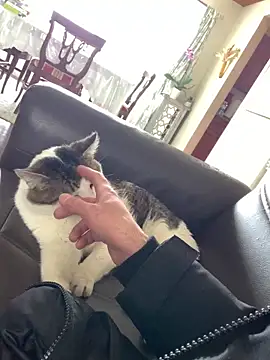 hailzeffn's Live XXX Chat