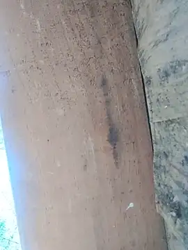 Biknight Webcam-Show