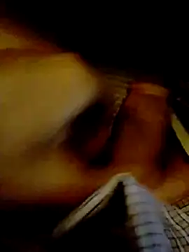 Show Webcam de DeshiTiger