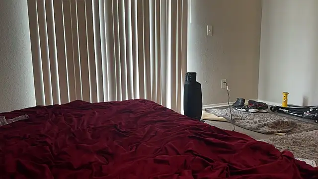 stellakobra 网络视讯表演