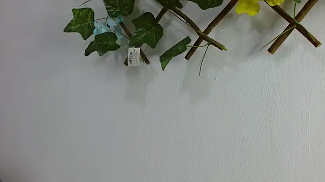 David_lust1 Live XXX-chat