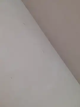 Sua_Gigi Adlı Modelin Canlı XXX Sohbeti