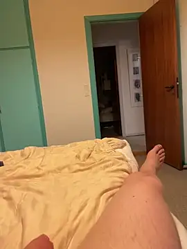 Show webcam de H31H31