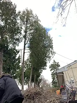 hailzeffn Live XXX-Chat