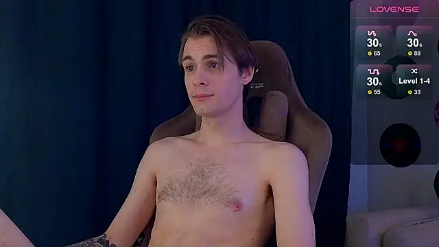 Show Webcam de DebugMee