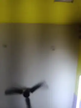 Chat XXX en directo de punjabimunda28