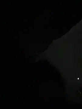 Amira_Malia Chat XXX live