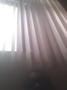 doidopradar Webcamshow