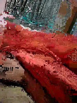 عرض كام subh12233