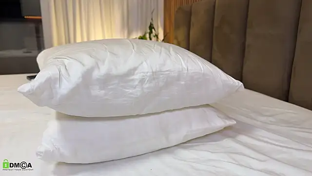 alexyork Show Webcam