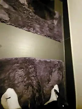 Show webcam de thesmiledoc