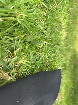 Hotgirlanal 网络视讯表演