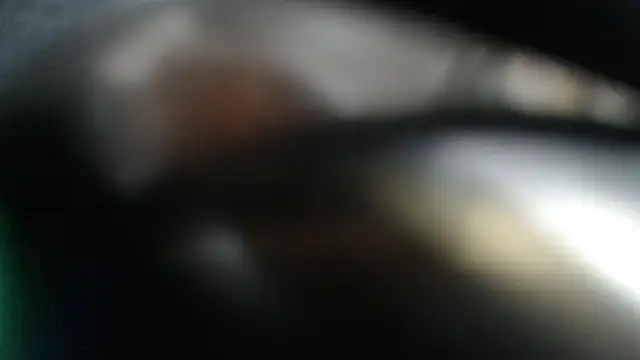 Show webcam de Lacht_Liden