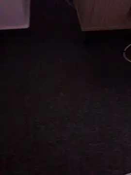 Show Webcam de euerpaar292