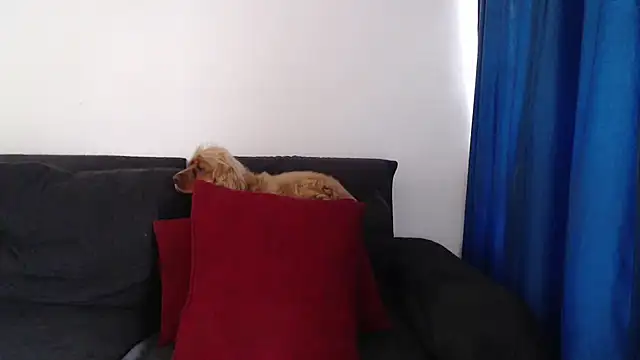 evilheart_69: απευθείας συνομιλία ΧΧΧ