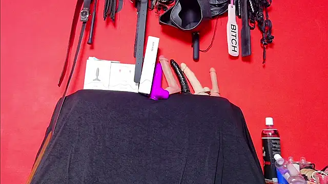 Show de Dunnadan_Bms na webcam