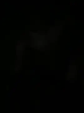 Živý XXX chat bihf_dam