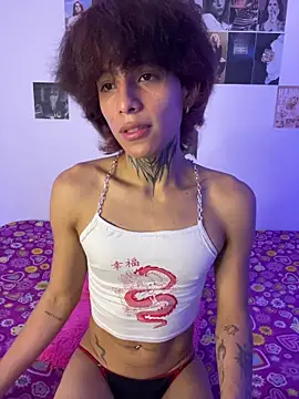 bellamy_095n Webbikameraesitys