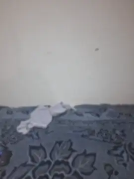 Chutty_anu Chat XXX live