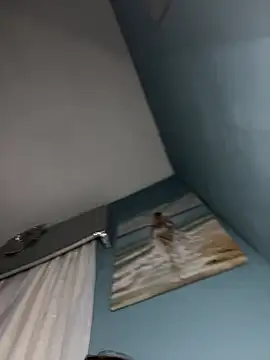 Kittycqtx Webcamshow