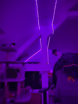 nomercy0807 Pertunjukan Webcam