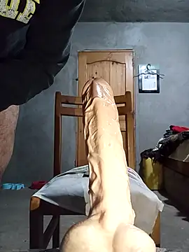 venososx Pertunjukan Webcam