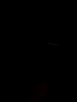 ChancingDhow's Webcam Show