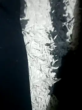 nursenight Live XXX-Chat