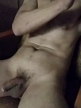 Show modela AndrewXSkyp na web-kameri