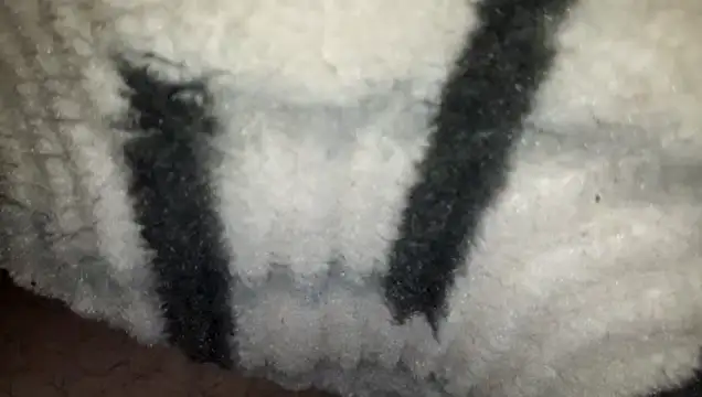 yarar_can Adlı Modelin Web Kamerası Şovu