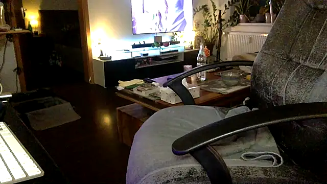 Show Webcam de tomz0819