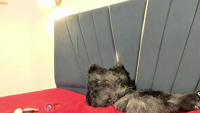 junior_cum18 网络视讯表演