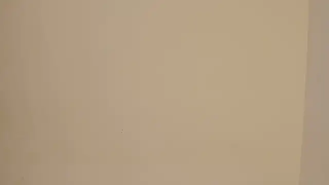 Chat +18 de Madison_charlotte ao vivo