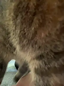 Chat +18 de Davne_ ao vivo