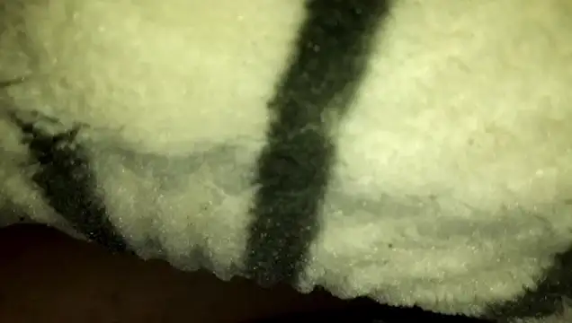 عرض كام yarar_can