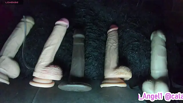 Cata-angel 现场XXX聊天