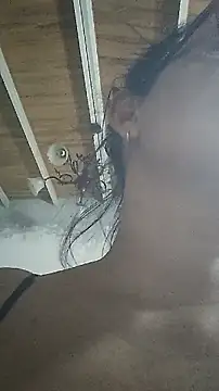 Xoticxenax Adlı Modelin Canlı XXX Sohbeti