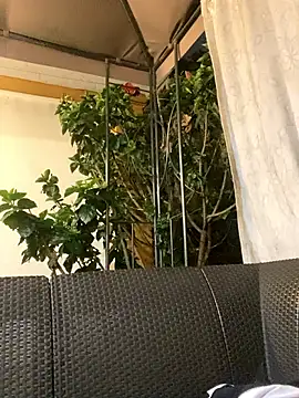 XXX chat uživo modela Diosa_Pinkk