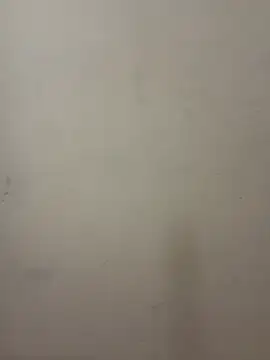 EmmyEvans1 লাইভ XXX চ্যাট