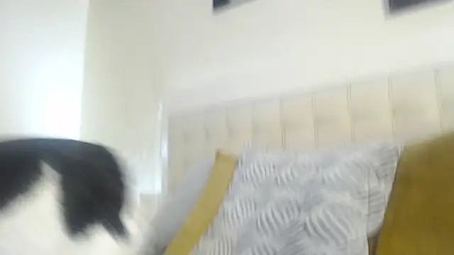 _Pamela_doll's Live XXX Chat