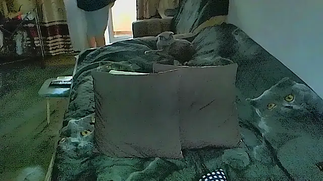 sex2のライブXXXチャット