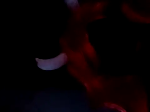 Show de DanSexChat na webcam