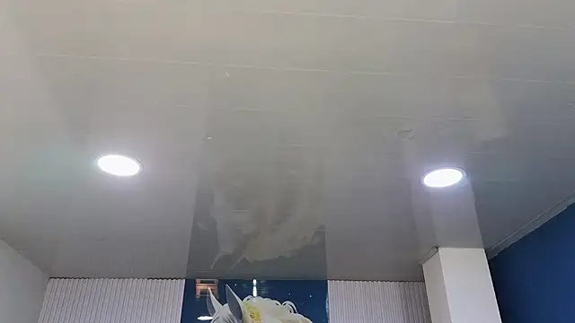 amy_lovelydoll: απευθείας συνομιλία ΧΧΧ