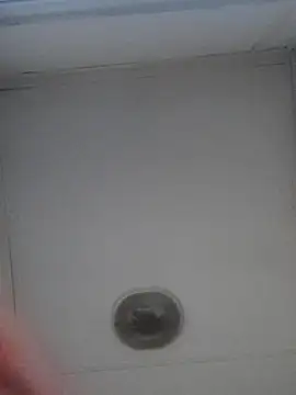 KIRIM_KONGO61 Pertunjukan Webcam