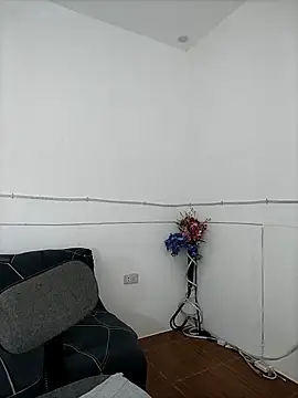 DominnantTransqueen Adlı Modelin Web Kamerası Şovu