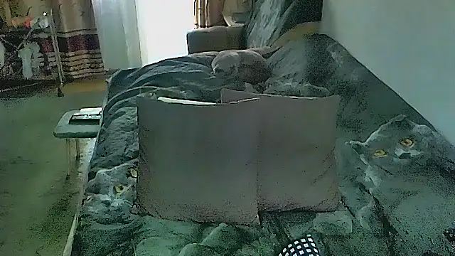 sex2 লাইভ XXX চ্যাট