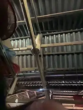 LyLyX09: απευθείας συνομιλία ΧΧΧ