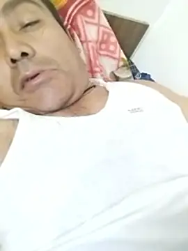 Show Webcam de Pitercom