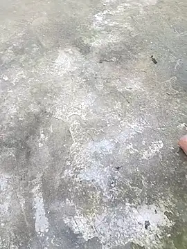 nainaei 网络视讯表演